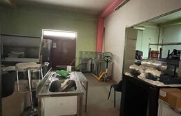 Spatiu comercial, suprafata 220 mp, Piata Girocului