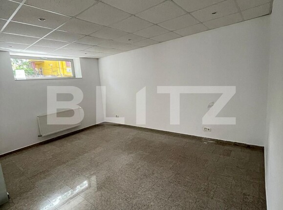 Spațiu comercial de închiriat Central - 121698SIC | BLITZ Timișoara | Poza2
