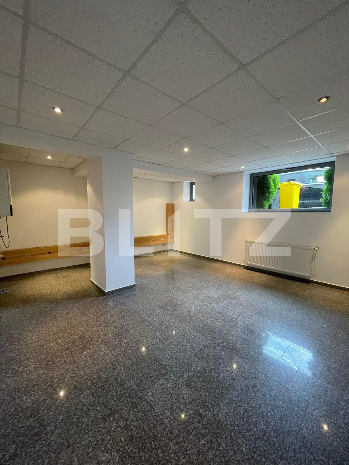 Spațiu comercial de închiriat Central - 121698SIC | BLITZ Timișoara | Poza3