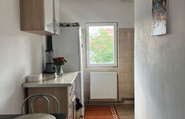 Apartament 1 camera, 40mp, zona Dorobantilor