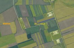 Teren extravilan agricol, 9716 mp, la DN69 Timisoara-Arad