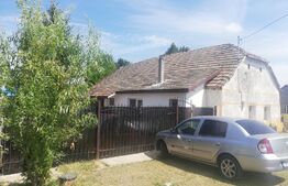 Negociabil, casa individuala 2 camere,constructie 95mp utili + teren 957mp,Dudestii Noi