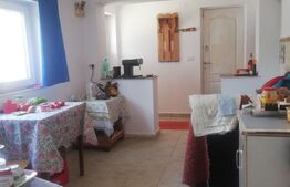 Negociabil, casa individuala 2 camere,constructie 95mp utili + teren 957mp,Dudestii Noi