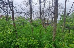 Casa demolabila, teren 640 mp, Braila