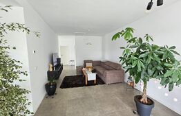 Duplex 3 camere, 80mp utili, 320 mp teren,  Mosnita Noua