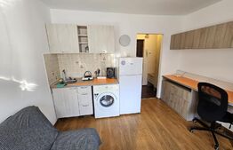 Garsoniera, 16mp, zona Buzias