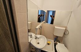 Garsoniera, 16mp, zona Buzias