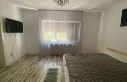 Apartament 3 camere, 100mp, Lipovei