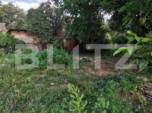 Casa de vânzare 2 camere Lunei - 122318CV | BLITZ Timișoara | Poza2