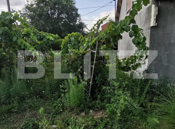 Casa de vânzare 2 camere Lunei - 122318CV | BLITZ Timișoara | Poza3