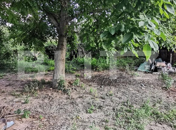 Casa de vânzare 2 camere Lunei - 122318CV | BLITZ Timișoara | Poza1