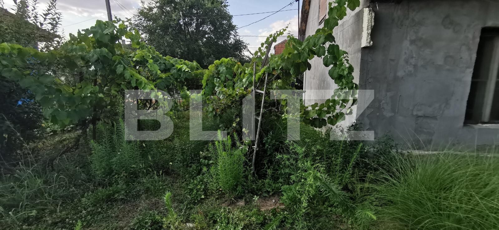 Casa de vânzare 2 camere Lunei - 122318CV | BLITZ Timișoara | Poza3