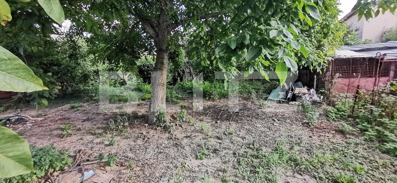 Casa de vânzare 2 camere Lunei - 122318CV | BLITZ Timișoara | Poza1