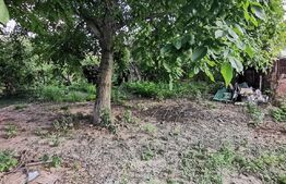 Teren, 516mp, front stradal 19ml, Lunei