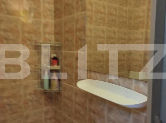 Garsonieră de vânzare Blascovici - 122350AV | BLITZ Timișoara | Poza9