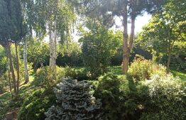 Casa individuala, 5 camere, 197 mp utili, 631 mp, garaj, Giroc