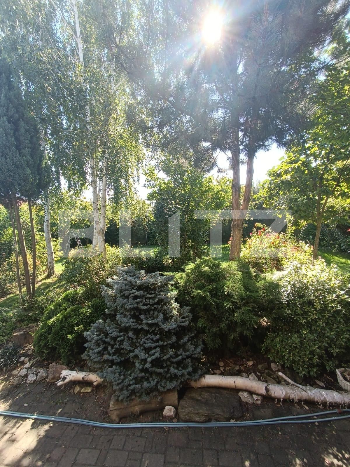 Casa de vânzare 5 camere Giroc - 122359CV | BLITZ Timișoara | Poza12