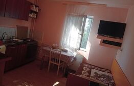 Apartament 1 camere, 32 mp, cartier Elizabeth