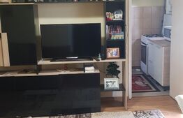 Apartament 2 camere, 35 mp, zona Sagului 