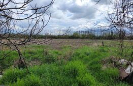 Casa+teren, 2180 mp teren, 109 mp utili, Chizatau