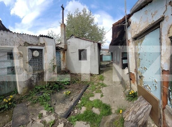 Casa de vânzare 1 camera Exterior Est - 122492CV | BLITZ Timișoara | Poza5