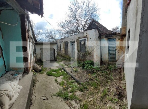 Casa de vânzare 1 camera Exterior Est - 122492CV | BLITZ Timișoara | Poza4