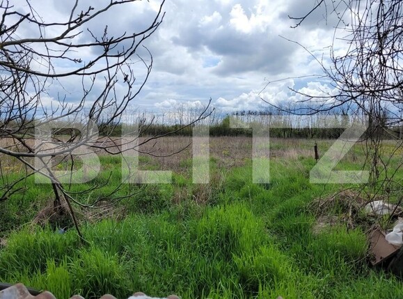 Casa de vânzare 1 camera Exterior Est - 122492CV | BLITZ Timișoara | Poza2