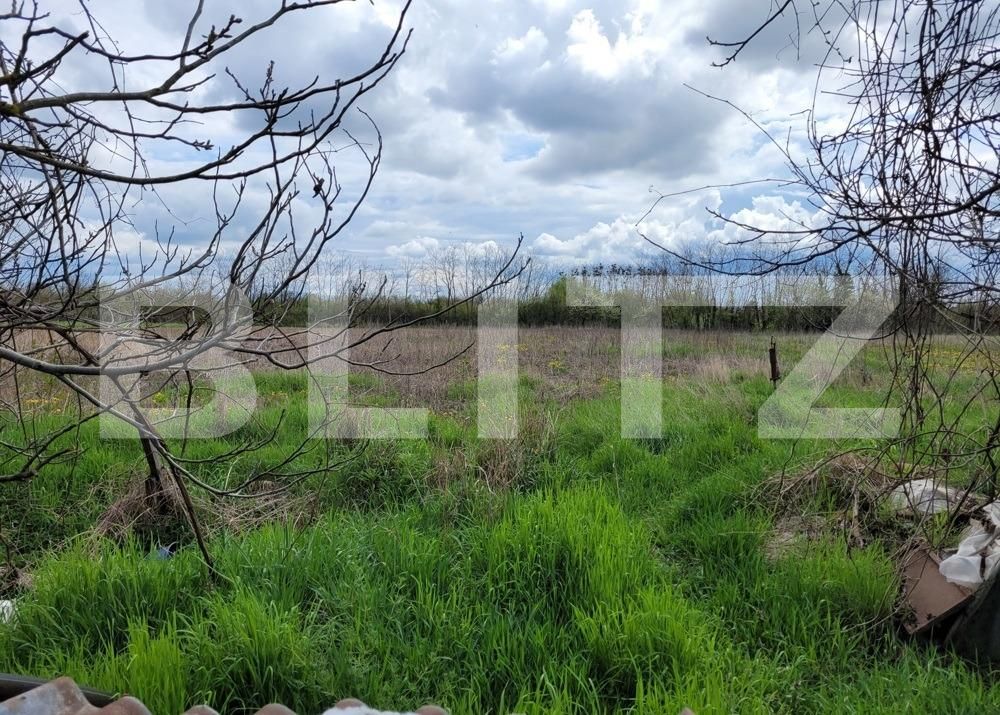 Casa de vânzare 1 camera Exterior Est - 122492CV | BLITZ Timișoara | Poza2