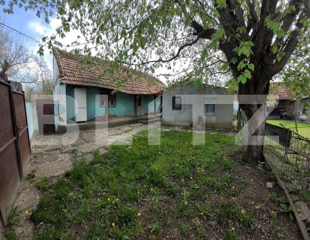 Casa de vânzare 1 camera Exterior Est - 122492CV | BLITZ Timișoara | Poza3