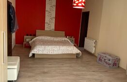 Vila 10 camere, 333 mp utili, Mehala