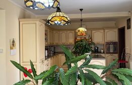 Vila 10 camere, 333 mp utili, Mehala