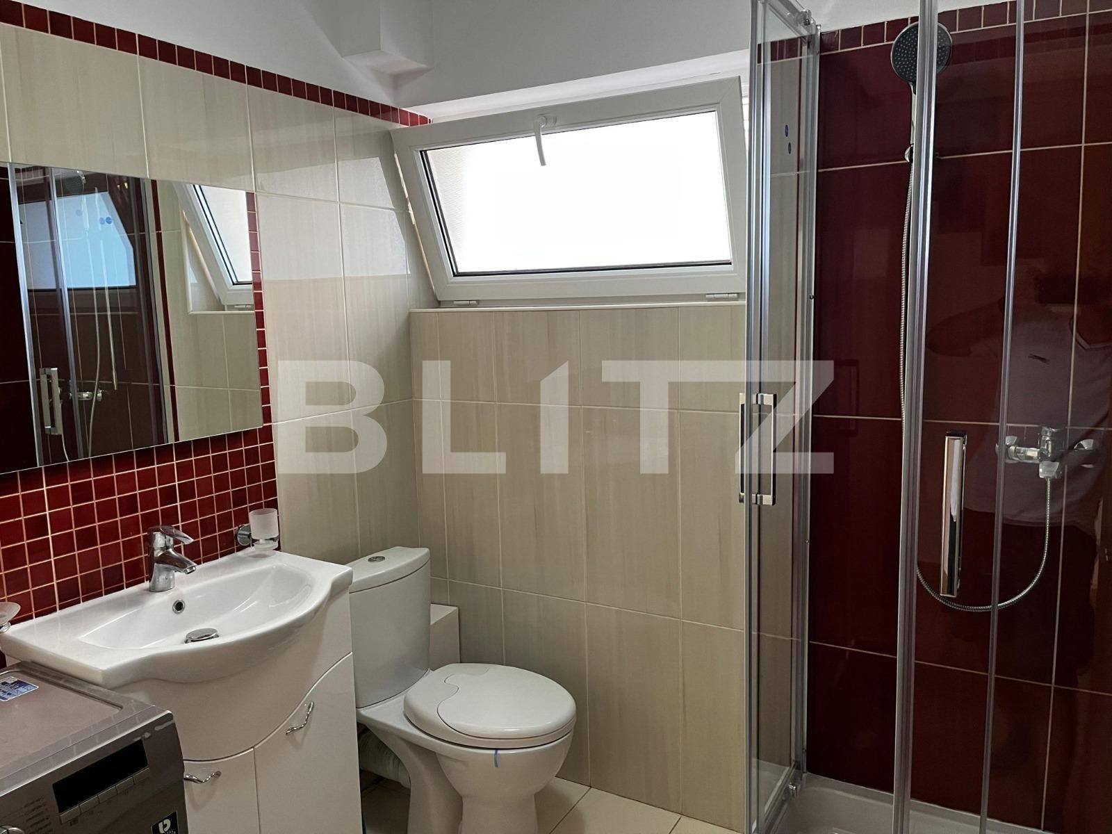 Casa de închiriat 4 camere Dumbravita - 122543CI | BLITZ Timișoara | Poza10