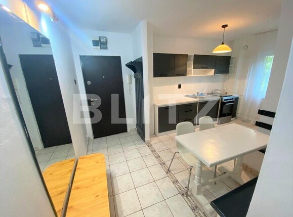 Apartament de închiriat 2 camere Spitalul Judetean - 122625AI | BLITZ Timișoara | Poza2