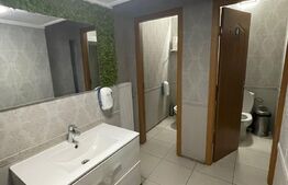 Restaurant, 200 mp + 100 mp pentru depozitare, zona Ultracentrala