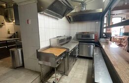 Restaurant, 200 mp + 100 mp pentru depozitare, zona Ultracentrala