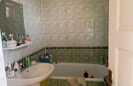 Casa + SAD pe un teren de 1349 mp in Dumbravita 