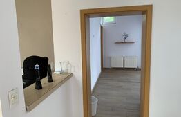 Casa + SAD pe un teren de 1349 mp in Dumbravita 