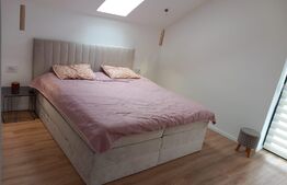 Casa individuala moderna, 193 mp utili, la cheie, Mosnita Noua