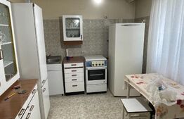 Casa de Vanzare tip Duplex 267 mp utili Dumbravita  zona Lidl-Kaufland