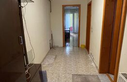 Casa de Vanzare tip Duplex 267 mp utili Dumbravita  zona Lidl-Kaufland