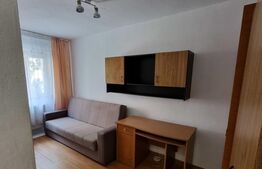 Apartament 1 camera, 24mp, cartier Buziasului