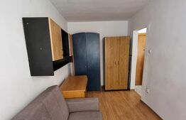 Apartament 1 camera, 24mp, cartier Buziasului