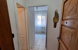 Apartament 1 camera, 24mp, cartier Buziasului