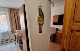 Apartament 1 camera, 24mp, cartier Buziasului