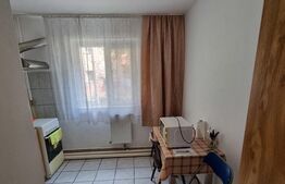 Apartament 1 camera, 24mp, cartier Buziasului