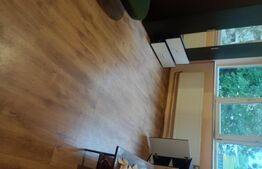 Garsoniera, 35mp, Blascovici 