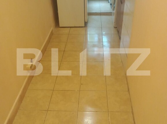 Garsonieră de vânzare Blascovici - 122989AV | BLITZ Timișoara | Poza1