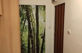 Garsoniera, 10mp,  Aradului