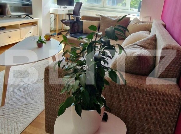 Casa de vânzare 2 camere Lipovei - 123008CV | BLITZ Timișoara | Poza15