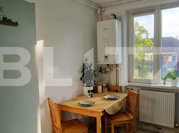 Casa de vânzare 2 camere Lipovei - 123008CV | BLITZ Timișoara | Poza13